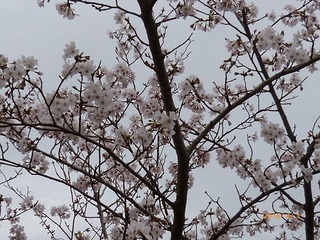 P1110511.JPG